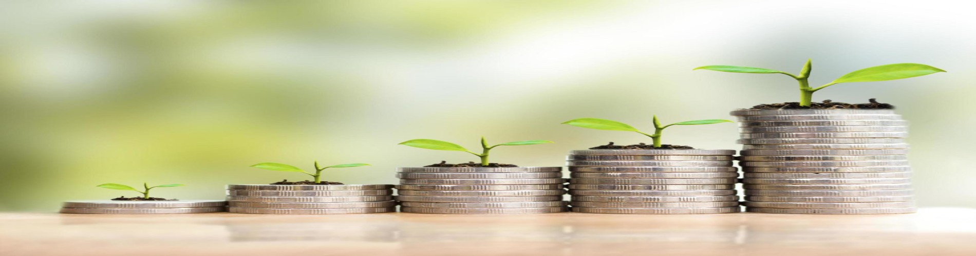 save-money-with-stack-coin-growing-your-business-concept-young-plant-growing-in-money-stack-coin-free-photo